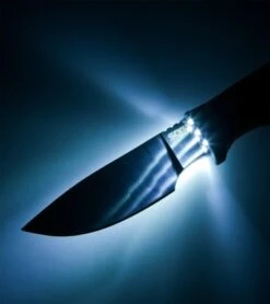 SOG Bladelight Camp Fixed Blade Knife W/ LEDs (4.50" Satin Plain) BLT21K -Sog sog bladelight camp blt21k cp light